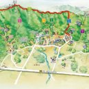 칠보산오리 이미지