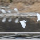 황전(순천) 이미지