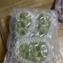 엘지농원 네이버블로그
