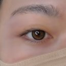 경기도 수원시 권선구 세지로82번길 3 (권선동) | 매교역 속눈썹펌 '퍼리펠트프렌드' 무쌍에서 쌍꺼풀 생긴 LC컬 후기