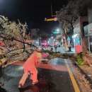 강정동-32 이미지