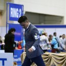 부산 강아지분양 디테일퍼피 이미지