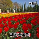 송도 달빛공원 달빛풋살장 | 해찬솔공원 송도 튤립 명소 주차장