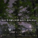 부산진구-38 네이버블로그