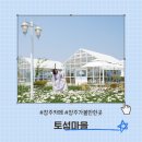 청주 근처 가볼만한곳 토성 마을 데이지 정원 카페