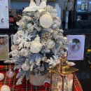 느므즈므 이미지