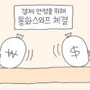 국가 간 '통화스와프' 외화부족 특효약일까요? 이미지