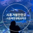 도시통합정보센터앞BRT | (시흥 아이랑 가볼만한곳) 시흥 해양생태과학관 솔직후기｜체험 전시부터 예약방법까지