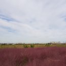 바람새마을 이미지