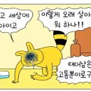 참조은산부인과 이미지