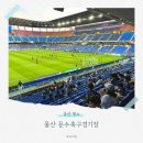 문수축구경기장 | 울산 HD FC 홈경기장 문수축구경기장 직관 후기!