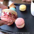 김엄마마카롱 이미지