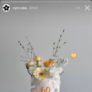 심케이크앤플레르 이미지