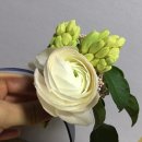 퓨어블라썸(PureBlossom)