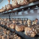 진명섬유 이미지