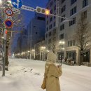 식열목장 | 12월 말 삿포로 비에이투어 유투어버스 업체 내돈내산 후기와 꿀팁