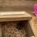 슬기농장 2 이미지