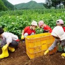 세경농장 이미지