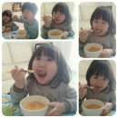 새싹푸드 Daum카페