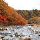 두타연이목정관광안내소 이미지