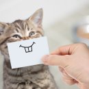 진영부동산공인중개사사무소 이미지