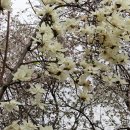 우산각공원 이미지