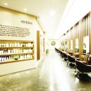 포레스타 이미지