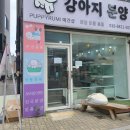 퍼피루미 옥정점 이미지