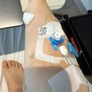 이대설렁탕 | 거대 자궁근종 로봇수술 입원, 퇴원, 수술비 후기 - 이대서울병원 (4탄)