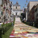 꽃길따라 이미지