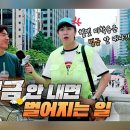 C&BIT컨설팅