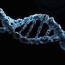 다형바이오 이미지