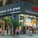 아이비스 안경콘택트 이미지