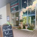 제이블레스 티스토리