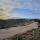 신도리-3 이미지