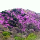 고려산주유소 이미지