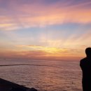 제주마중 판포 이미지