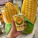 교동꽃담집 | # 25. 06월의 소중한 일상