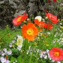 자연환경(유) 이미지