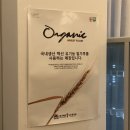 쵸쵸브레드