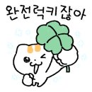 고양이묭실 이미지