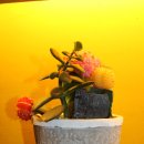 두리치킨&호프 이미지