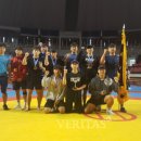 알파레슬링 이미지