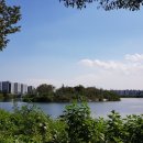 서호공원 이미지