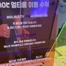 MOL 멀티룸 이미지