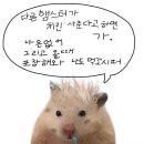 서해수산활어직판장 이미지