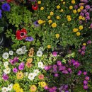 해가온공인중개사사무소 이미지