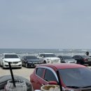 [강원 속초]속초 디저트카페 추천, 바다씨에서 여유로운 바다뷰 즐기기