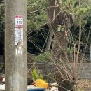 블랑드누아 | 제주도 서귀포 : 위이 : 프렌치토스트, 아메리카노 키치 블렌드, 블랑 드 누아 - 내돈내산 솔직후기