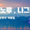 청노루 - 제주시 | 청노루